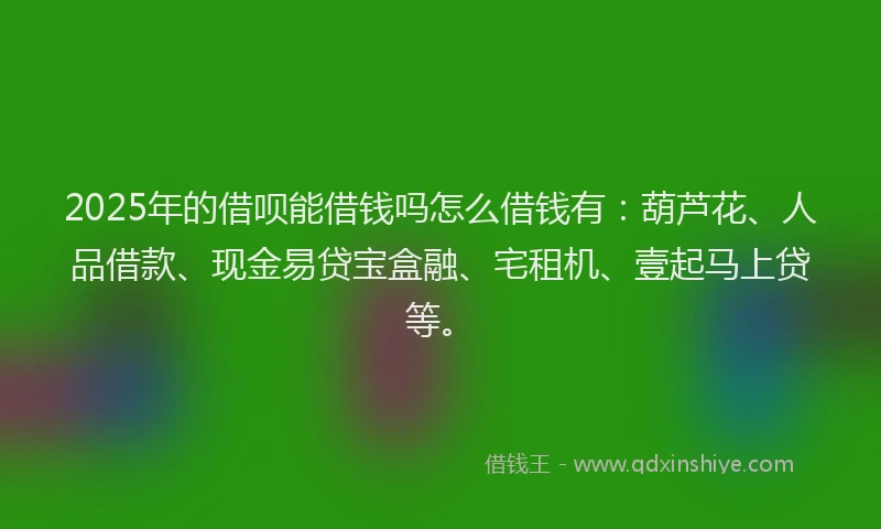 2025年的借呗能借钱吗怎么借钱有：葫芦花、人品借款、现金易贷宝盒融、宅租机、壹起马上贷等。