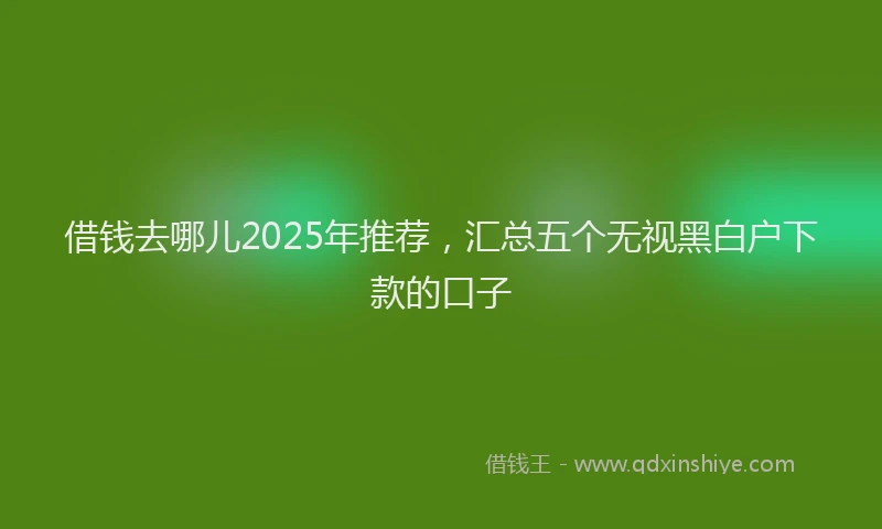 借钱去哪儿2025年推荐，汇总五个无视黑白户下款的口子