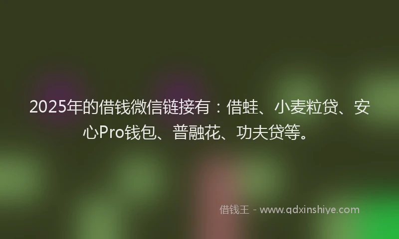 2025年的借钱微信链接有：借蛙、小麦粒贷、安心Pro钱包、普融花、功夫贷等。