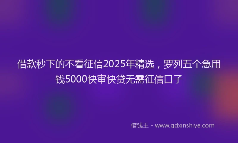 借款秒下的不看征信2025年精选，罗列五个急用钱5000快审快贷无需征信口子