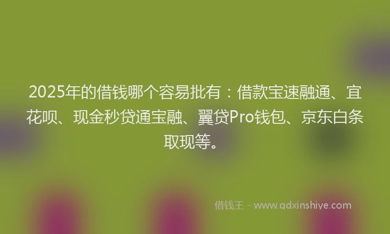 2025年的借钱哪个容易批有：借款宝速融通、宜花呗、现金秒贷通宝融、翼贷Pro钱包、京东白条取现等。