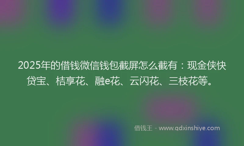 2025年的借钱微信钱包截屏怎么截有：现金侠快贷宝、桔享花、融e花、云闪花、三枝花等。