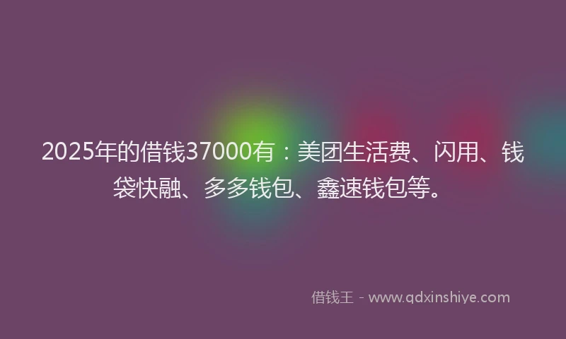 2025年的借钱37000有：美团生活费、闪用、钱袋快融、多多钱包、鑫速钱包等。