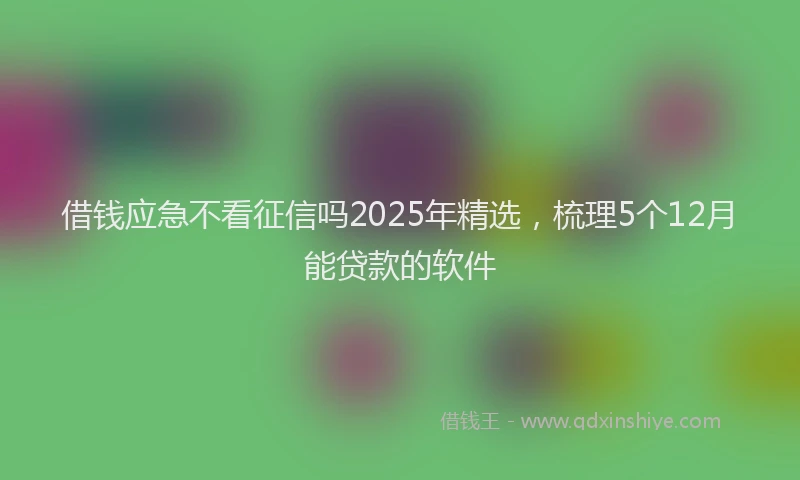 借钱应急不看征信吗2025年精选，梳理5个12月能贷款的软件