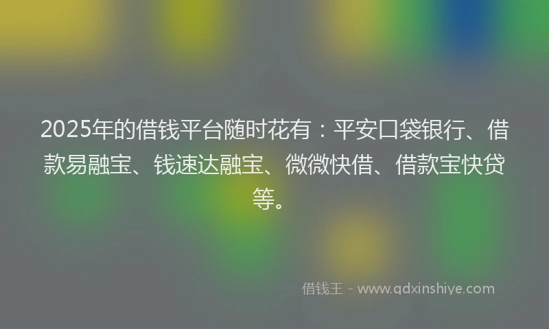 2025年的借钱平台随时花有：平安口袋银行、借款易融宝、钱速达融宝、微微快借、借款宝快贷等。