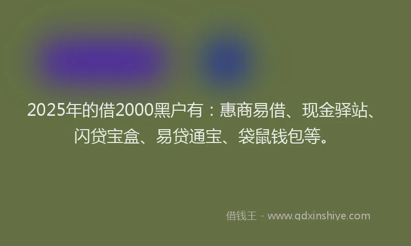 2025年的借2000黑户有：惠商易借、现金驿站、闪贷宝盒、易贷通宝、袋鼠钱包等。