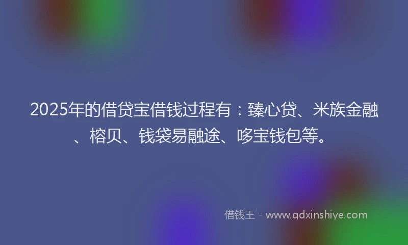 2025年的借贷宝借钱过程有：臻心贷、米族金融、榕贝、钱袋易融途、哆宝钱包等。