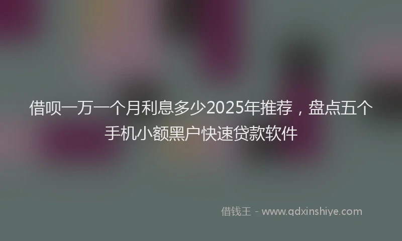 借呗一万一个月利息多少2025年推荐，盘点五个手机小额黑户快速贷款软件