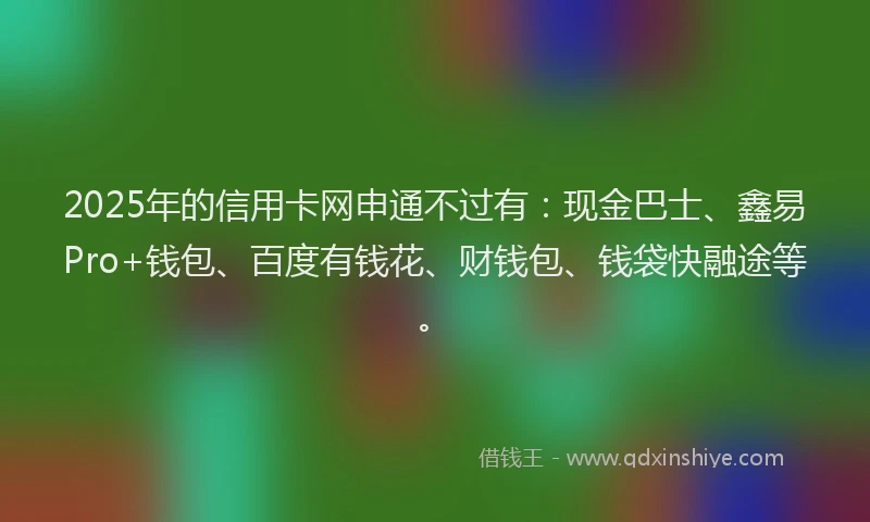2025年的信用卡网申通不过有：现金巴士、鑫易Pro+钱包、百度有钱花、财钱包、钱袋快融途等。