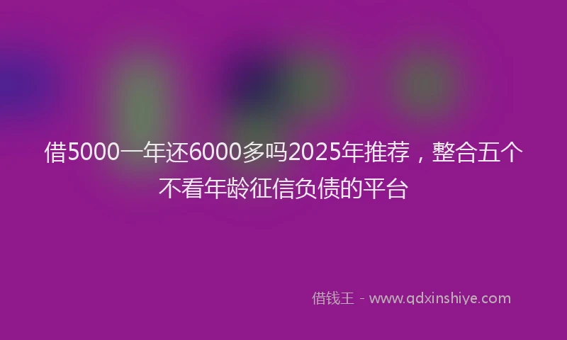 借5000一年还6000多吗2025年推荐，整合五个不看年龄征信负债的平台