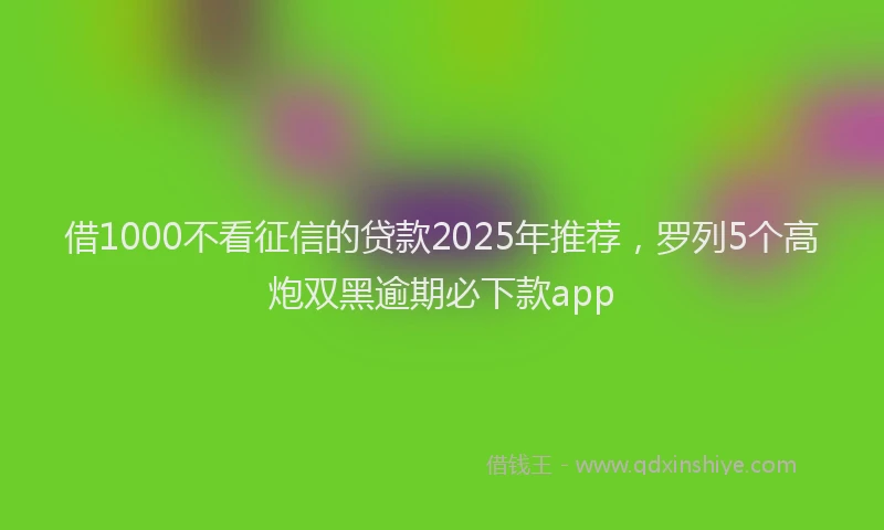 借1000不看征信的贷款2025年推荐，罗列5个高炮双黑逾期必下款app