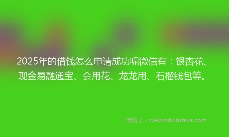 2025年的借钱怎么申请成功呢微信有：银杏花、现金易融通宝、会用花、龙龙用、石榴钱包等。