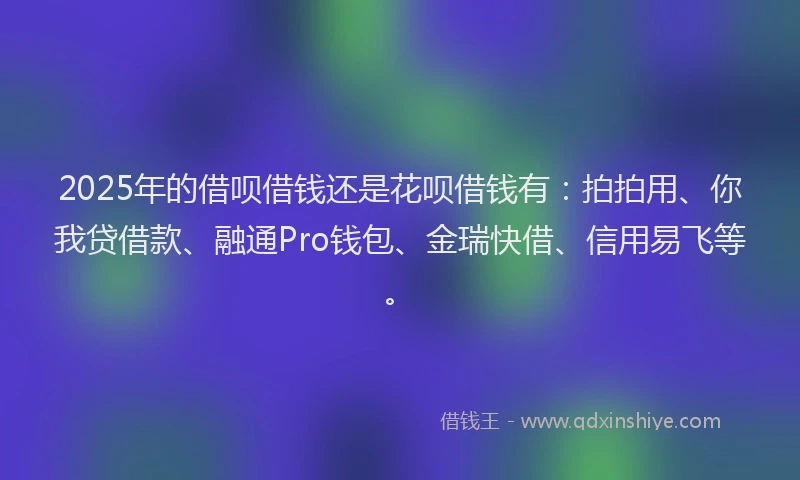 2025年的借呗借钱还是花呗借钱有：拍拍用、你我贷借款、融通Pro钱包、金瑞快借、信用易飞等。