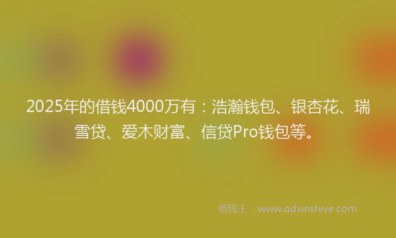 2025年的借钱4000万有：浩瀚钱包、银杏花、瑞雪贷、爱木财富、信贷Pro钱包等。
