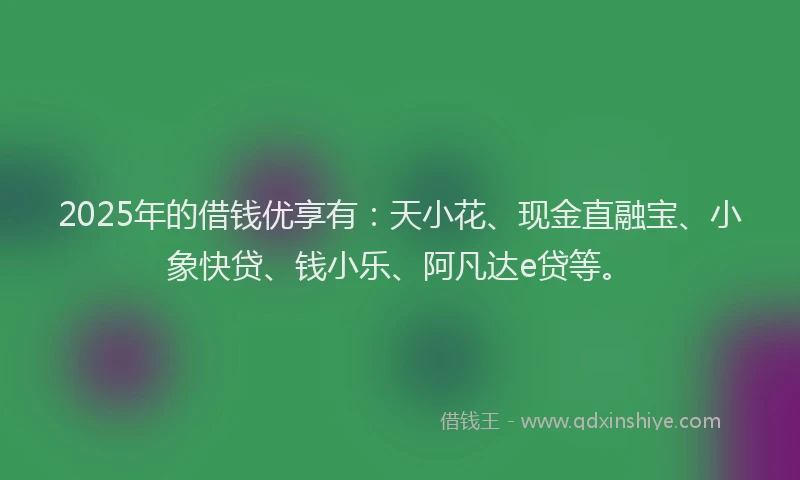 2025年的借钱优享有：天小花、现金直融宝、小象快贷、钱小乐、阿凡达e贷等。