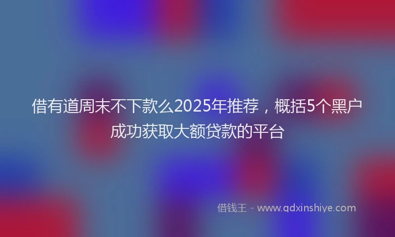 借有道周末不下款么2025年推荐，概括5个黑户成功获取大额贷款的平台
