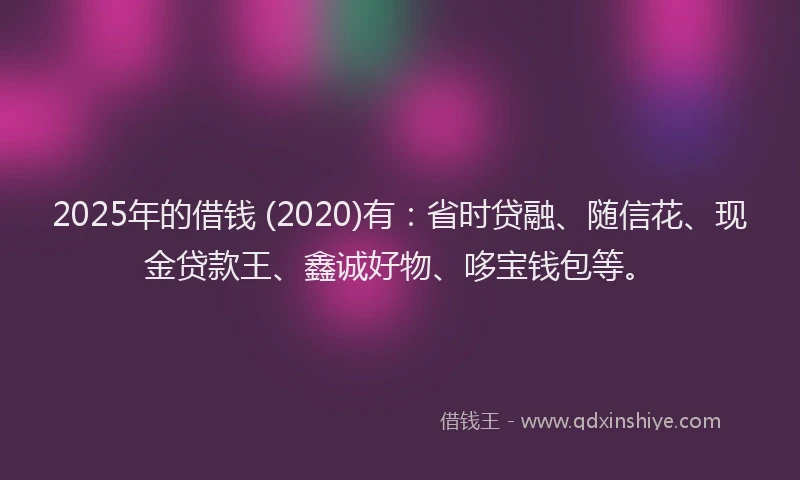2025年的借钱 (2020)有：省时贷融、随信花、现金贷款王、鑫诚好物、哆宝钱包等。