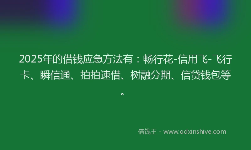 2025年的借钱应急方法有：畅行花-信用飞-飞行卡、瞬信通、拍拍速借、树融分期、信贷钱包等。