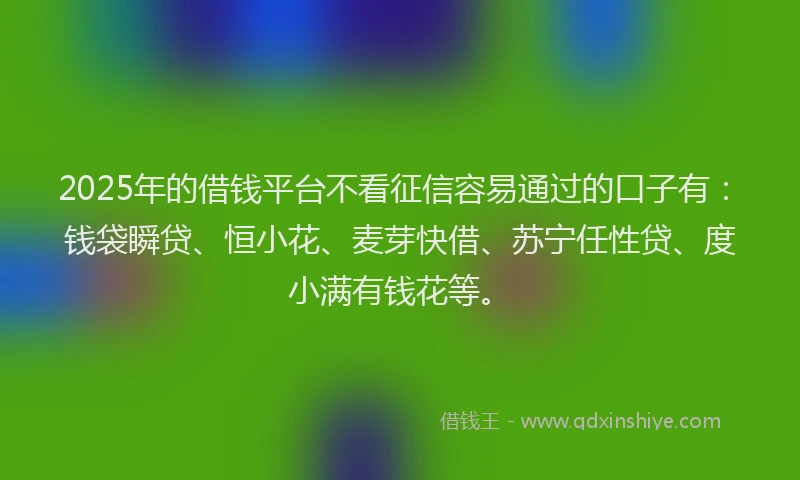 2025年的借钱平台不看征信容易通过的口子有：钱袋瞬贷、恒小花、麦芽快借、苏宁任性贷、度小满有钱花等。