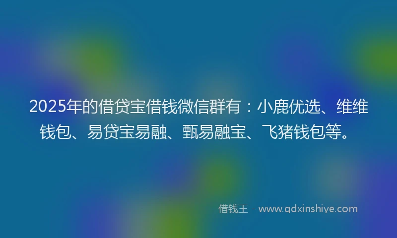 2025年的借贷宝借钱微信群有：小鹿优选、维维钱包、易贷宝易融、甄易融宝、飞猪钱包等。