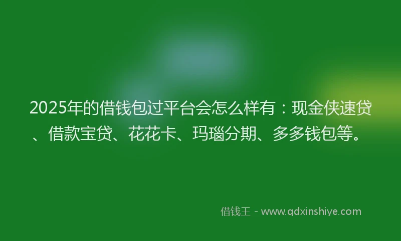 2025年的借钱包过平台会怎么样有：现金侠速贷、借款宝贷、花花卡、玛瑙分期、多多钱包等。