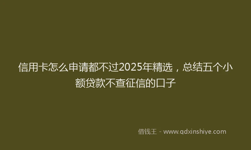 信用卡怎么申请都不过2025年精选，总结五个小额贷款不查征信的口子