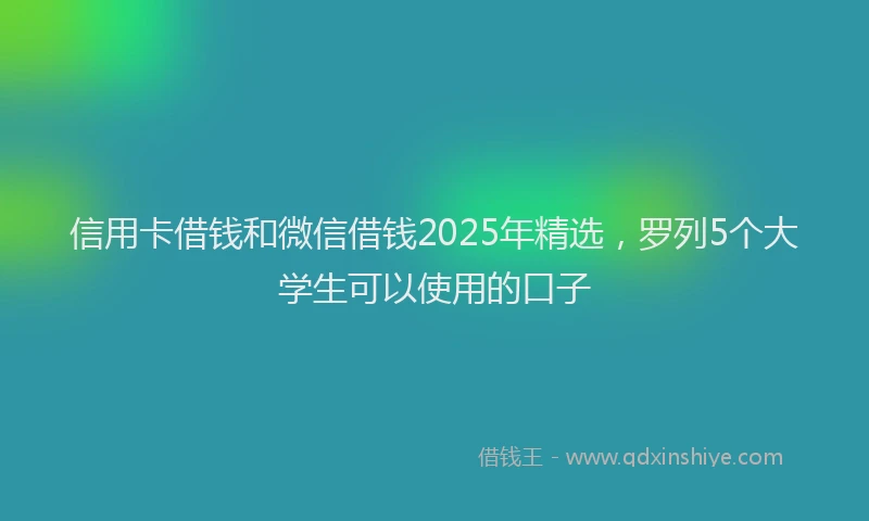 信用卡借钱和微信借钱2025年精选，罗列5个大学生可以使用的口子