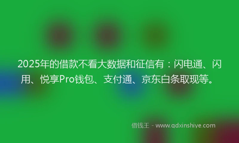 2025年的借款不看大数据和征信有：闪电通、闪用、悦享Pro钱包、支付通、京东白条取现等。