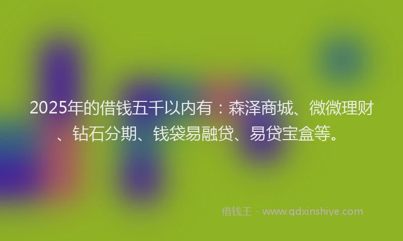 2025年的借钱五千以内有：森泽商城、微微理财、钻石分期、钱袋易融贷、易贷宝盒等。