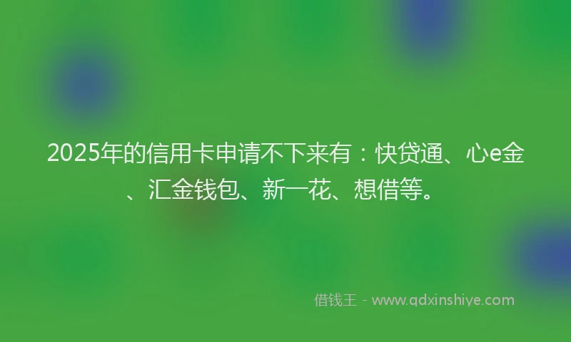 2025年的信用卡申请不下来有：快贷通、心e金、汇金钱包、新一花、想借等。