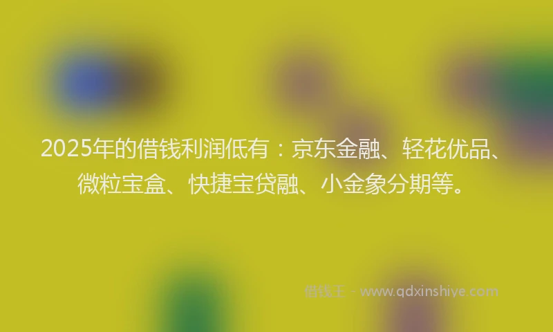 2025年的借钱利润低有：京东金融、轻花优品、微粒宝盒、快捷宝贷融、小金象分期等。