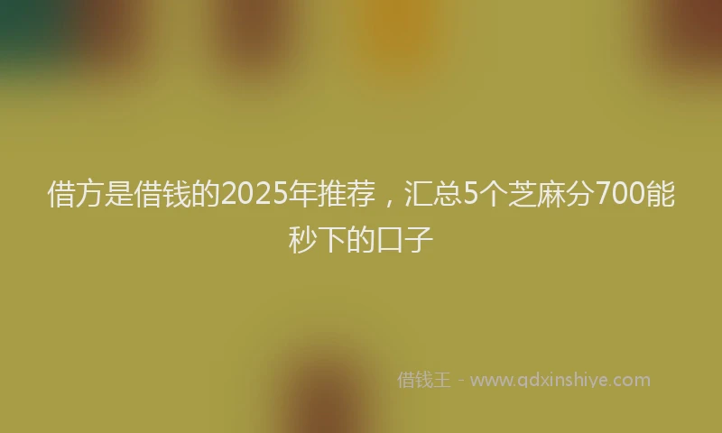 借方是借钱的2025年推荐，汇总5个芝麻分700能秒下的口子