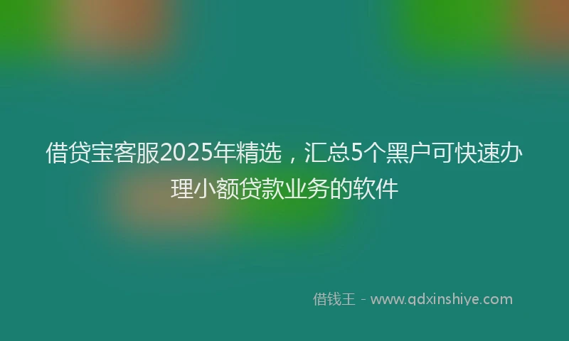 借贷宝客服2025年精选，汇总5个黑户可快速办理小额贷款业务的软件
