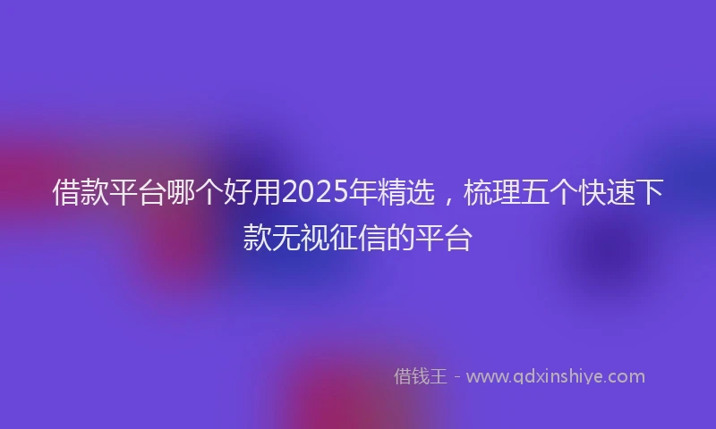 借款平台哪个好用2025年精选，梳理五个快速下款无视征信的平台