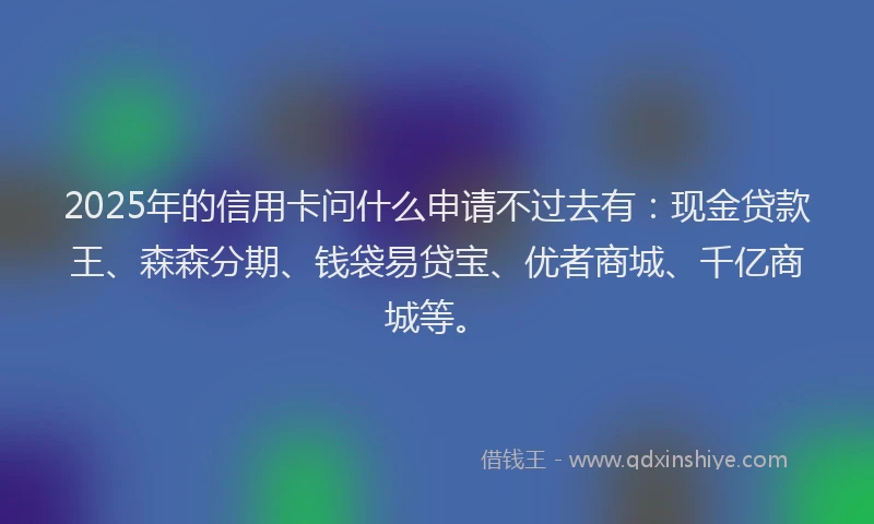 2025年的信用卡问什么申请不过去有：现金贷款王、森森分期、钱袋易贷宝、优者商城、千亿商城等。