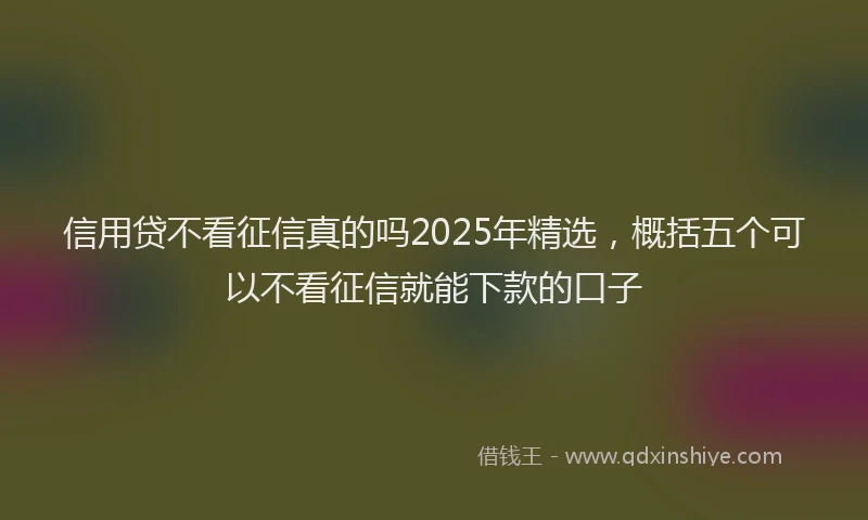 信用贷不看征信真的吗2025年精选，概括五个可以不看征信就能下款的口子