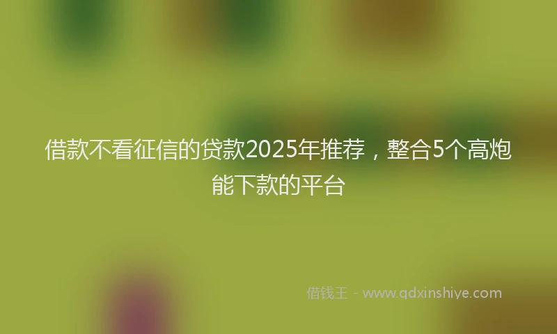 借款不看征信的贷款2025年推荐，整合5个高炮能下款的平台