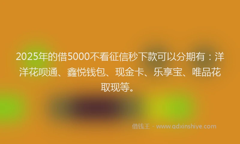 2025年的借5000不看征信秒下款可以分期有：洋洋花呗通、鑫悦钱包、现金卡、乐享宝、唯品花取现等。