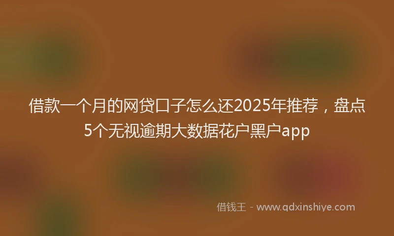 借款一个月的网贷口子怎么还2025年推荐，盘点5个无视逾期大数据花户黑户app
