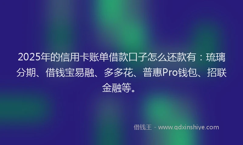 2025年的信用卡账单借款口子怎么还款有：琉璃分期、借钱宝易融、多多花、普惠Pro钱包、招联金融等。
