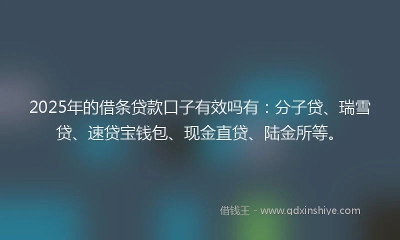 2025年的借条贷款口子有效吗有：分子贷、瑞雪贷、速贷宝钱包、现金直贷、陆金所等。