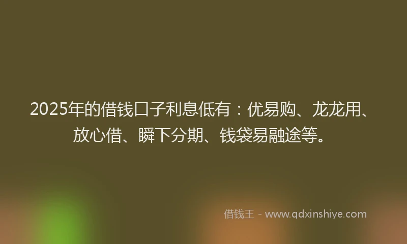 2025年的借钱口子利息低有：优易购、龙龙用、放心借、瞬下分期、钱袋易融途等。