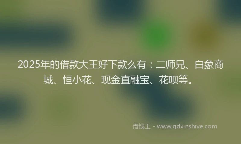 2025年的借款大王好下款么有：二师兄、白象商城、恒小花、现金直融宝、花呗等。