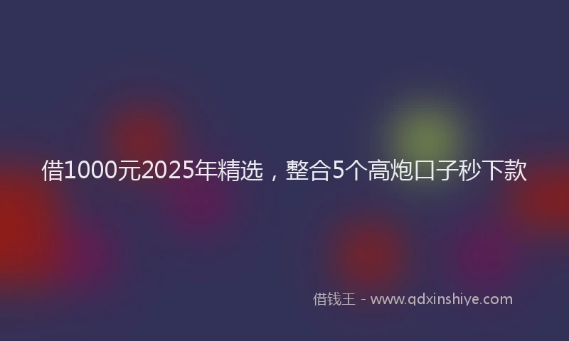 借1000元2025年精选，整合5个高炮口子秒下款
