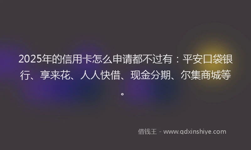 2025年的信用卡怎么申请都不过有：平安口袋银行、享来花、人人快借、现金分期、尔集商城等。