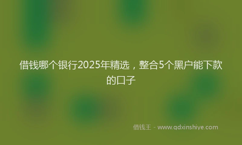 借钱哪个银行2025年精选，整合5个黑户能下款的口子