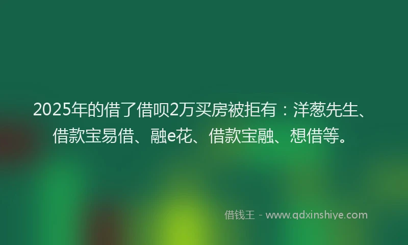 2025年的借了借呗2万买房被拒有：洋葱先生、借款宝易借、融e花、借款宝融、想借等。