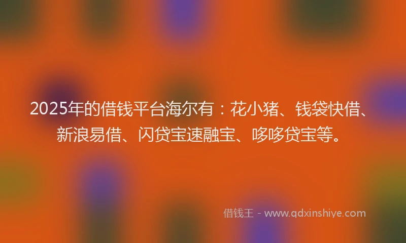 2025年的借钱平台海尔有：花小猪、钱袋快借、新浪易借、闪贷宝速融宝、哆哆贷宝等。