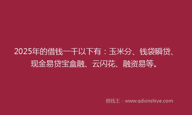 2025年的借钱一千以下有：玉米分、钱袋瞬贷、现金易贷宝盒融、云闪花、融资易等。