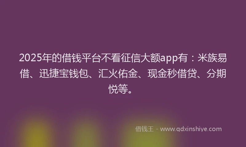 2025年的借钱平台不看征信大额app有：米族易借、迅捷宝钱包、汇火佑金、现金秒借贷、分期悦等。